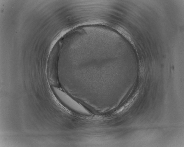 X0000071910797200607281827