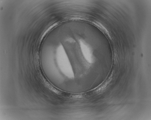 X0000071910798200607281827