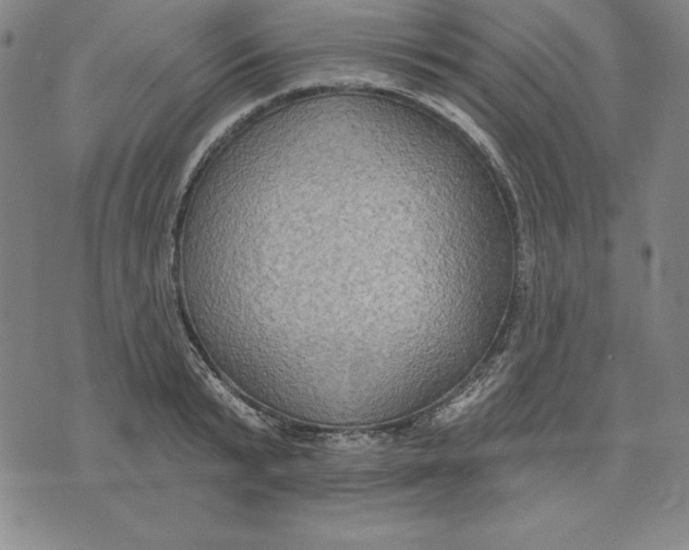 X0000071910799200607281827