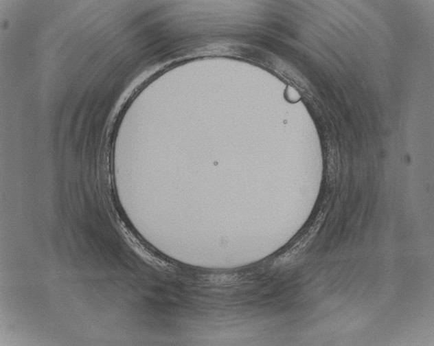 X0000071910800200607281827