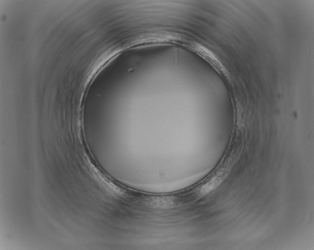 X0000071910802200607281827