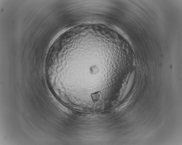 X0000071910803200607281827