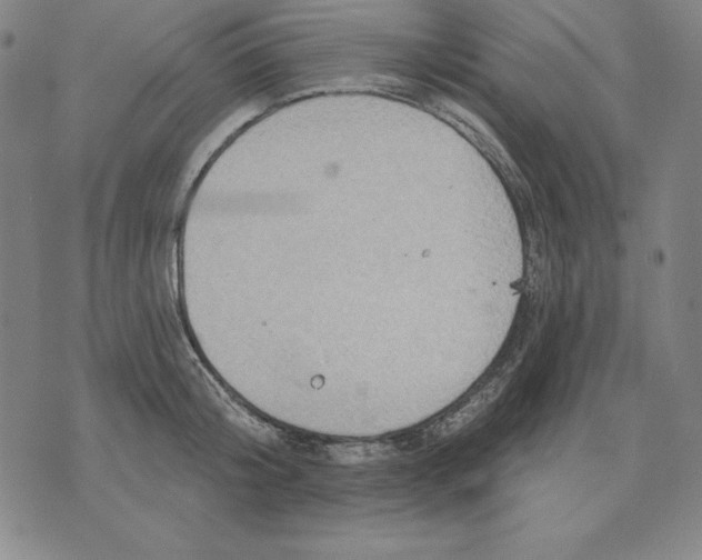 X0000071910804200607281827