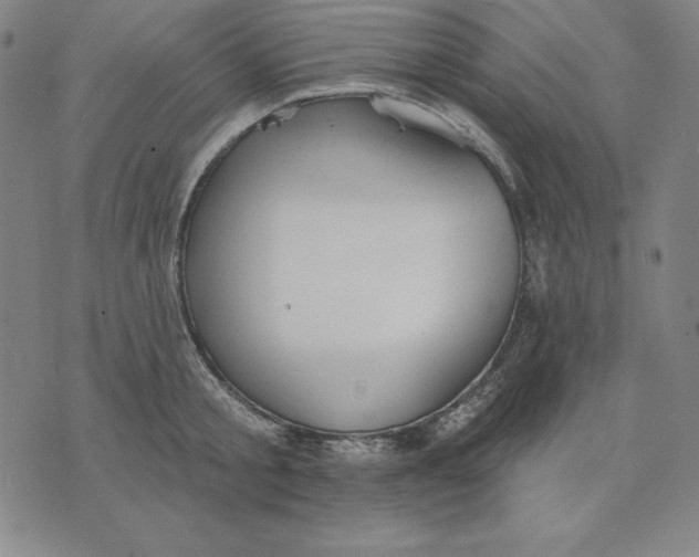 X0000071910805200607281827