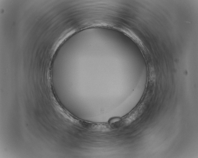 X0000071910806200607281827