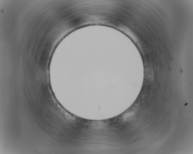 X0000071910807200607281827