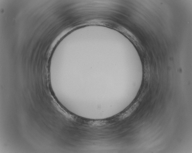 X0000071910808200607281827