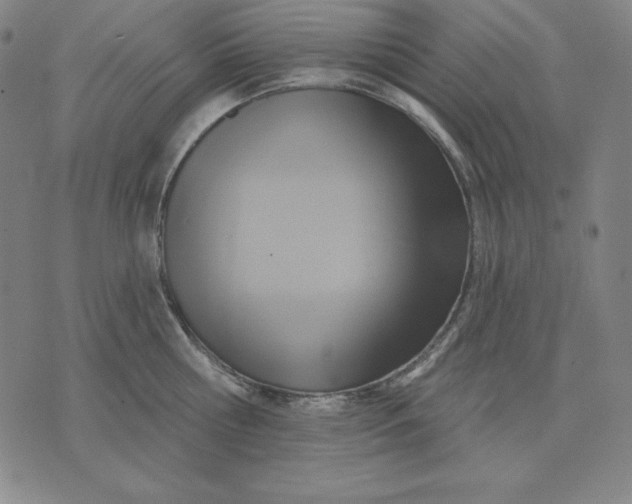 X0000071910810200607281827