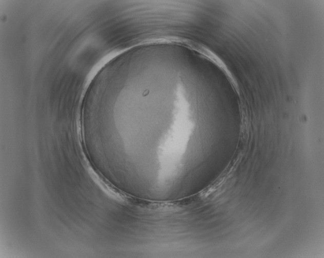 X0000071910811200607281827