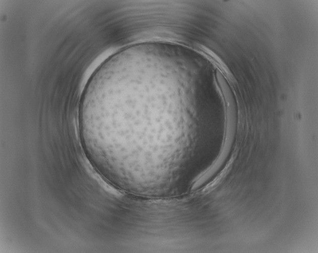 X0000071910812200607281827