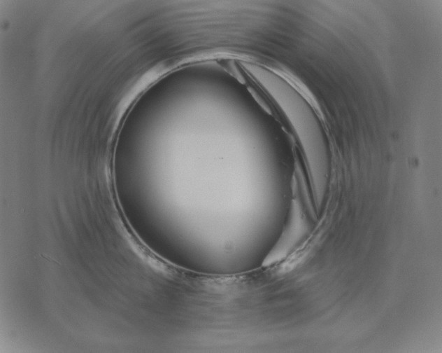 X0000071910813200607281827