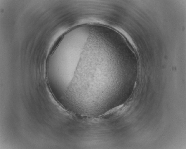 X0000071910815200607281827