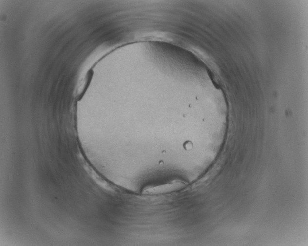 X0000071910816200607281827