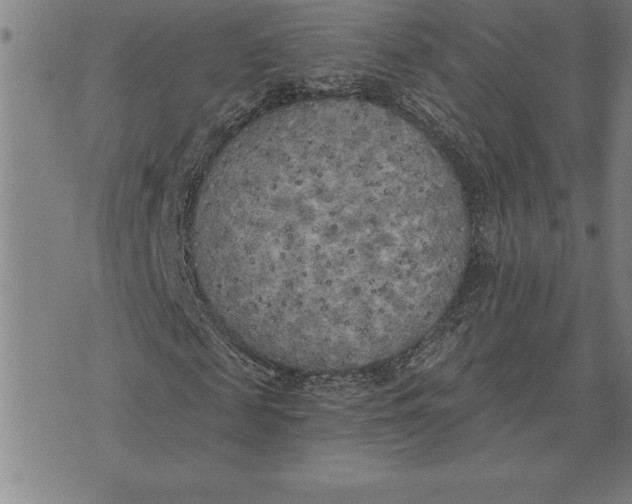 X0000071910817200607281826