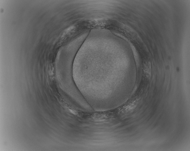 X0000071910818200607281826