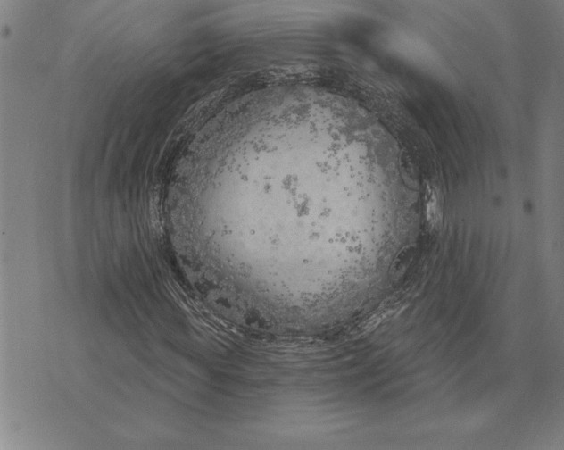 X0000071910819200607281826