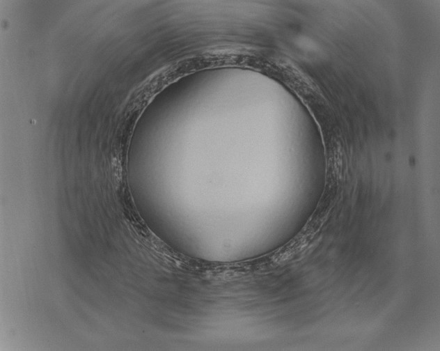 X0000071910821200607281826