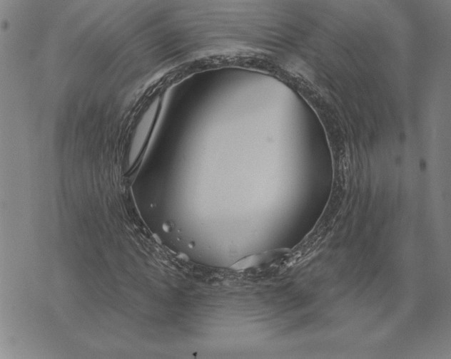 X0000071910822200607281826