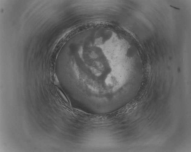 X0000071910823200607281826