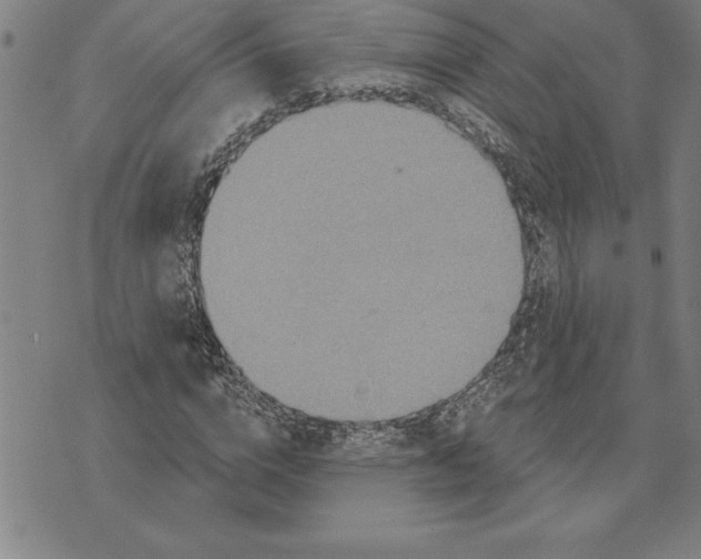 X0000071910824200607281826