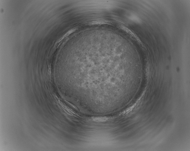 X0000071910825200607281826