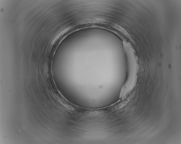 X0000071910826200607281826