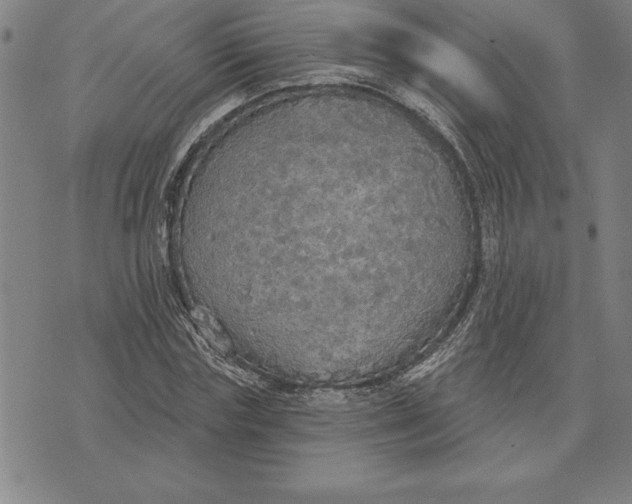 X0000071910827200607281826