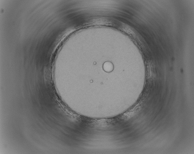 X0000071910828200607281826