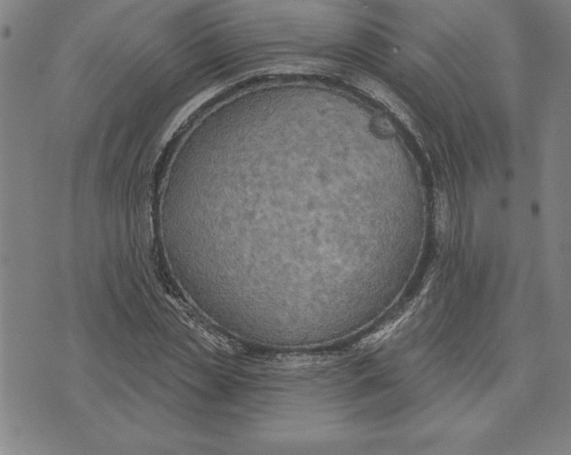 X0000071910829200607281826