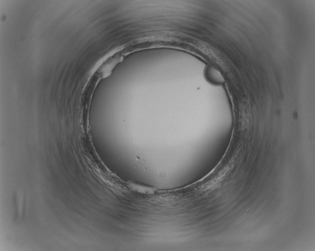 X0000071910830200607281826