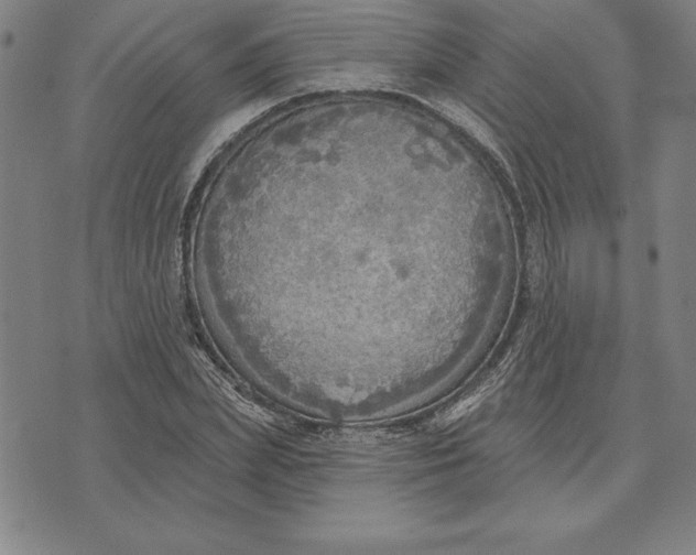 X0000071910831200607281826