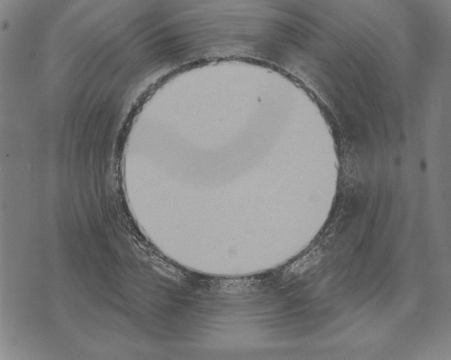 X0000071910832200607281826