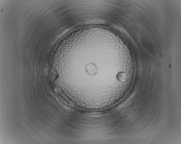 X0000071910833200607281826