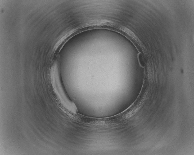 X0000071910834200607281826