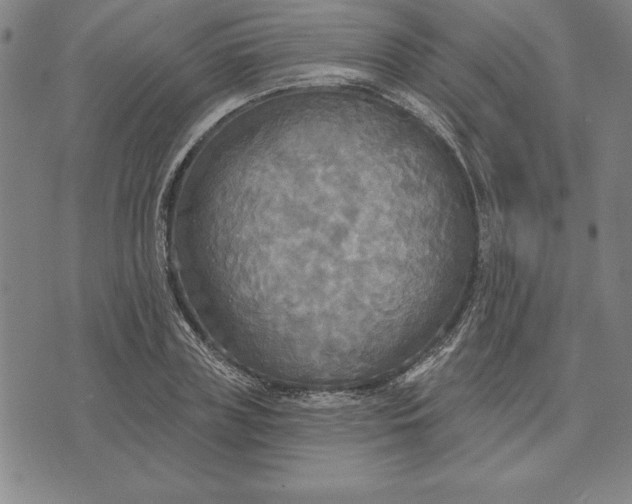 X0000071910835200607281826