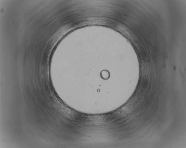 X0000071910836200607281826