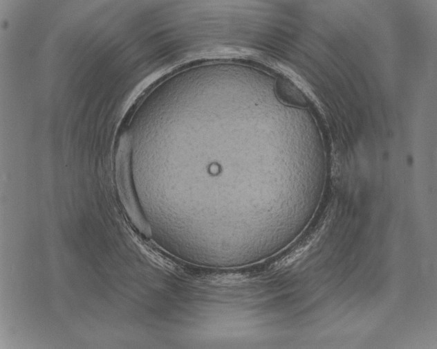 X0000071910837200607281826