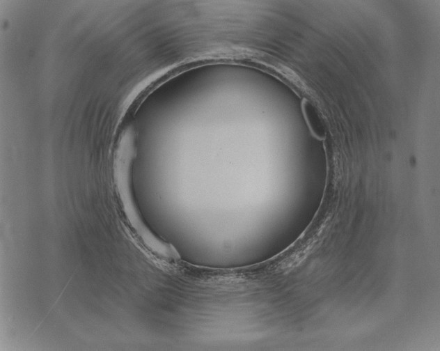 X0000071910838200607281826