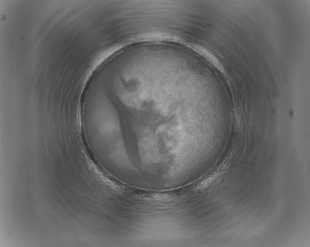 X0000071910839200607281826