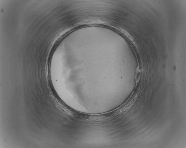 X0000071910840200607281826