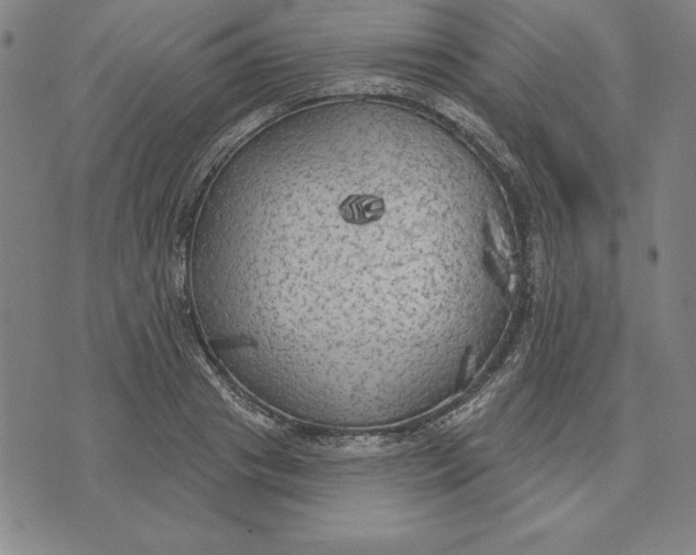 X0000071910841200607281826