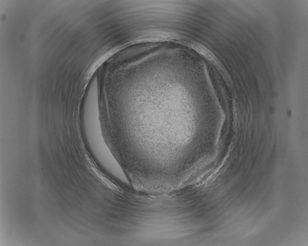 X0000071910842200607281826