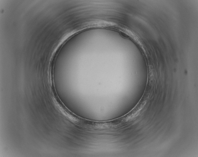 X0000071910843200607281826