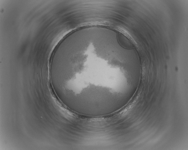 X0000071910844200607281826