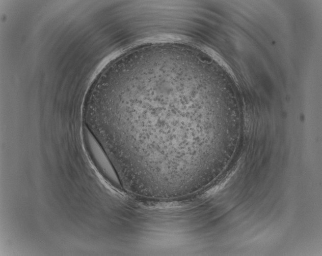 X0000071910845200607281826