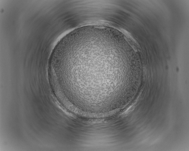 X0000071910846200607281826