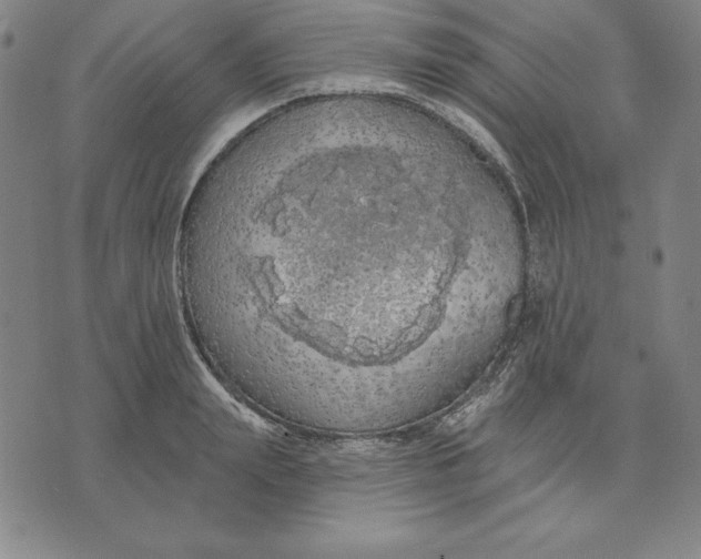 X0000071910847200607281826