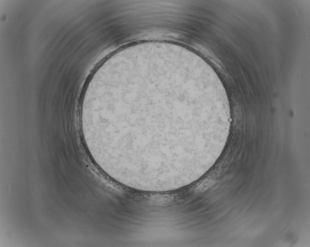 X0000071910848200607281826