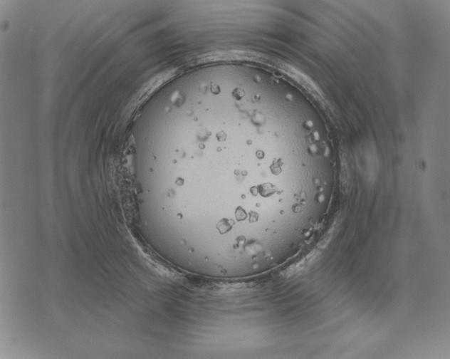 X0000071910849200607281826