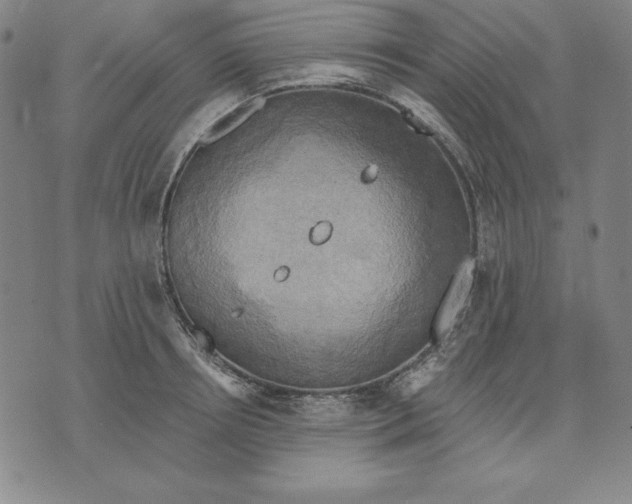 X0000071910850200607281826